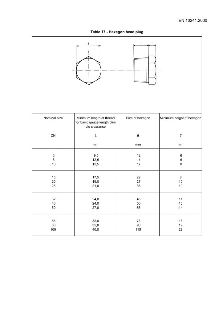 Hexagon head plug – BS EN 10241 | A519 4130, A519 4140 alloy steel ...